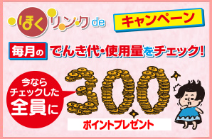 ほくりんくde毎月のでんき代・使用量をチェック！キャンペーン