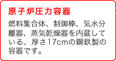 (1) 原子炉圧力容器　燃料集合体、制御棒、気水分離器、蒸気乾燥器を内蔵している、厚さ17cmの鋼鉄製の容器です。