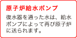 (7) 原子炉給水ポンプ　復水器を通った水は、給水ポンプによって再び原子炉に送られます。